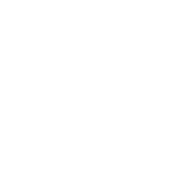 Enfoque en el Deportista: Programa de Retorno Seguro a la Actividad